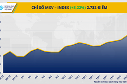 Căng thẳng thương mại và biến động tại FED kéo giá bạc vượt 115 USD/ounce