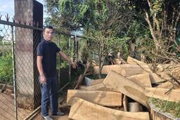 Bắt giữ nhóm lâm tặc cưa hạ 6 cây gỗ dổi khu vực thủy điện Đồng Nai