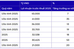 7 nhà băng lãi trên 20,000 tỷ đồng, HDBank nối dài chuỗi tăng trưởng 13 năm liên tiếp