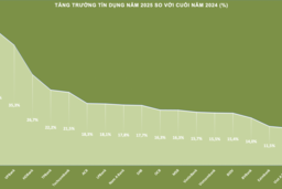 Ngân hàng mở rộng dư nợ, chất lượng còn phân hóa