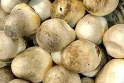 Bữa tối giảm mỡ nội tạng cho người sau tuổi 50