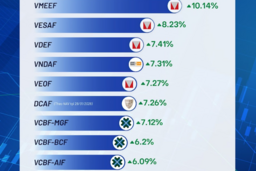 Đa số quỹ mở đạt hiệu suất vượt trội trước thềm nâng hạng thị trường chứng khoán