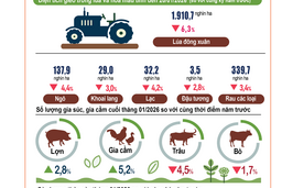 Tình hình kinh tế - xã hội tháng 1/2026