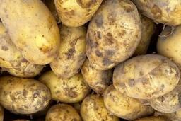 Bổ sung vitamin C từ khoai tây: Người lao động ngành nào nên tận dụng?