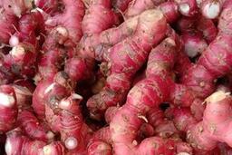 Người lao động có thể dùng củ riềng để chữa đầy bụng trong dịp Tết