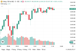 Ngày 11/2: Giá vàng trong nước đi ngang, giá vàng thế giới tiếp tục tăng