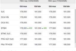 Ngày 12/2: Giá vàng trong nước tiếp tục đi ngang