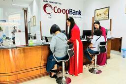 ‏Tái cấu trúc hệ thống Quỹ tín dụng nhân dân: Yêu cầu cấp thiết trong giai đoạn phát triển mới‏