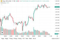 Ngày 13/2: Giá vàng trong nước giảm mạnh