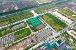 Đất nền có trở lại ‘ngôi vương’ đầu tư trong năm 2026?