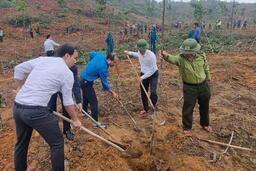 LĐLĐ Hà Tĩnh phát động trồng cây năm 2026