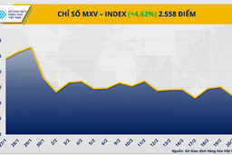Giá bạc tăng vọt, giá ca cao lao dốc tuần thứ 7 liên tiếp