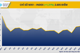 Giá bạc, bạch kim đồng loạt tăng mạnh