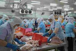 An Giang phấn đấu tăng trưởng nông, lâm, thủy, sản đạt hơn 54.300 tỉ đồng