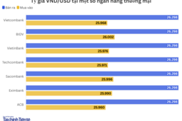 Ngày 3/3: Tỷ giá trung tâm tăng 8 đồng