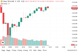 Ngày 3/3: Giá vàng trong nước sụt giảm