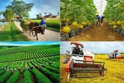 Kế hoạch hoạt động năm 2026 của Ban Chỉ đạo quốc gia về kinh tế tập thể