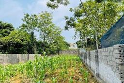 Cách tính tiền sử dụng đất khi chuyển từ đất vườn, đất ao sang đất ở