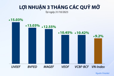 <a href="/kinh-te" title="Kinh tế" rel="dofollow">Kinh tế</a>