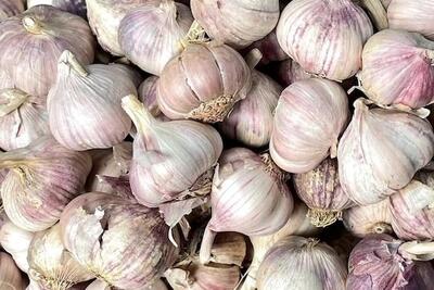 <a href="/xa-hoi" title="Xã hội" rel="dofollow">Xã hội</a>