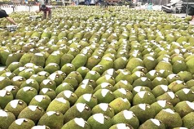 <a href="/kinh-te" title="Kinh tế" rel="dofollow">Kinh tế</a>