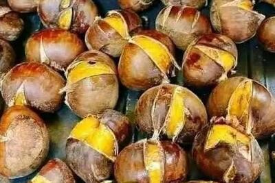 <a href="/xa-hoi" title="Xã hội" rel="dofollow">Xã hội</a>