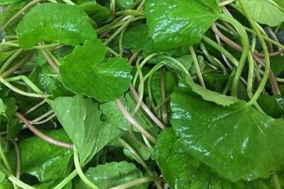 <a href="/xa-hoi" title="Xã hội" rel="dofollow">Xã hội</a>