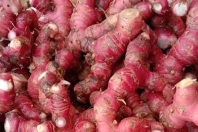 <a href="/xa-hoi" title="Xã hội" rel="dofollow">Xã hội</a>