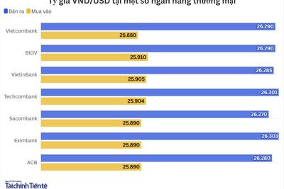 <a href="/kinh-te" title="Kinh tế" rel="dofollow">Kinh tế</a>