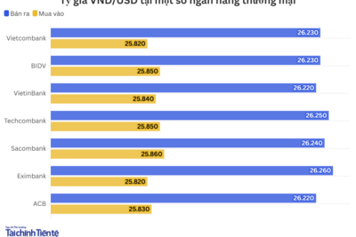 <a href="/kinh-te" title="Kinh tế" rel="dofollow">Kinh tế</a>