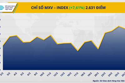 <a href="/kinh-te" title="Kinh tế" rel="dofollow">Kinh tế</a>