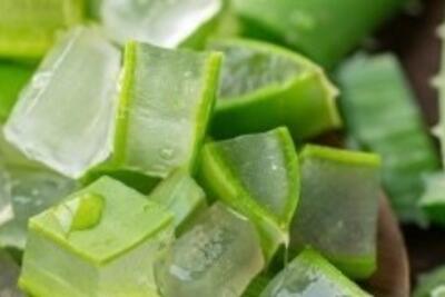 <a href="/xa-hoi" title="Xã hội" rel="dofollow">Xã hội</a>