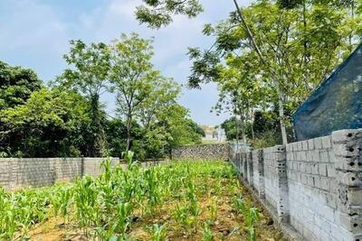 <a href="/bat-dong-san" title="Bất động sản" rel="dofollow">Bất động sản</a>