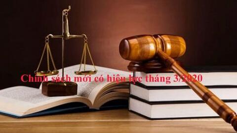 Một số chính sách mới có hiệu lực từ tháng 3/2020