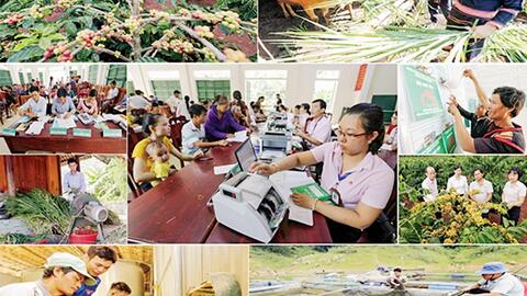 Ngân hàng Chính sách xã hội: 17 năm đồng hành cùng người nghèo