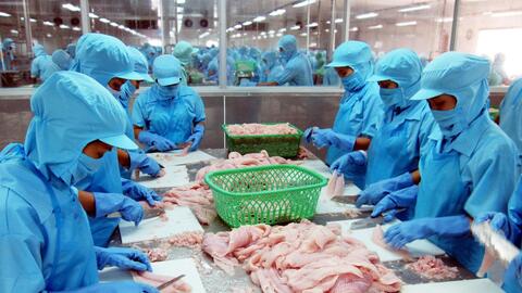 Thay đổi hướng sản xuất, giữ thế chủ động