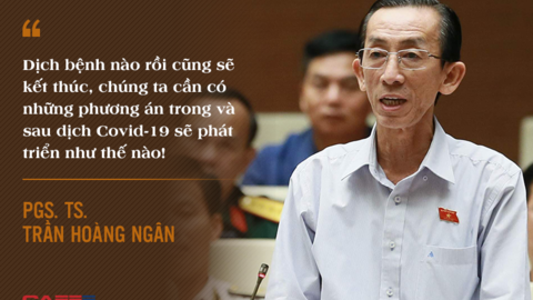 Tăng trưởng thời Covid-19: Tại sao thị trường nội địa lại là yếu tố sống còn?