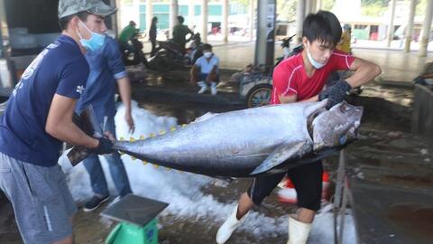 Tàu cá Khánh Hòa nằm bờ la liệt vì giá xăng dầu cao kỷ lục