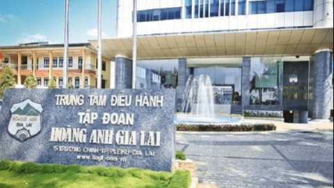 HAGL lên kế hoạch lợi nhuận tăng 9 lần, muốn phát hành cổ phiếu riêng lẻ