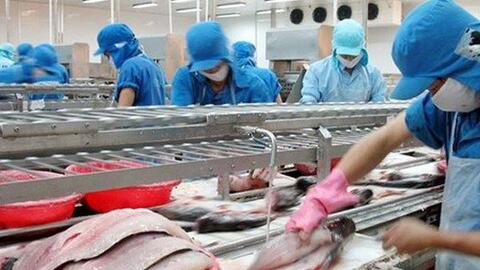Vĩnh Hoàn lên kế hoạch cổ tức 40%, rót 500 tỷ vào nhà máy chế biến trái cây