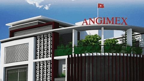 Angimex (AGM): Dược Lâm Đồng đăng ký mua 100.000cp, nâng sở hữu lên 1,43% vốn