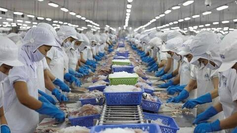 Vĩnh Hoàn bán 1,43 triệu cổ phiếu quỹ từ ngày 30/5