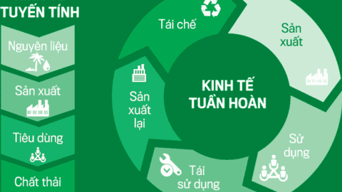 Kinh tế tuần hoàn là xu hướng tất yếu