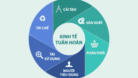 Những mô hình kinh tế tuần hoàn nổi bật trên thế giới