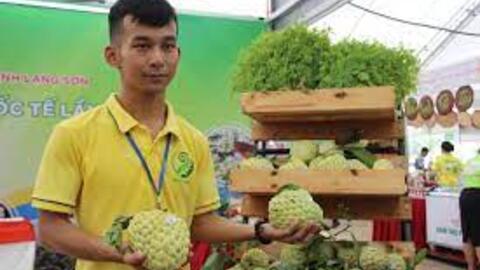 Đưa nông sản Việt vào thị trường Bắc Âu