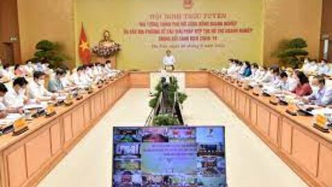 Chính sách hỗ trợ Chương trình phục hồi đã mang lại lợi ích thiết thực cho người dân, doanh nghiệp