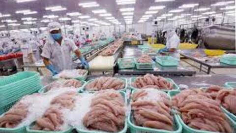 Nhiều triển vọng tăng tưởng xuất khẩu năm 2023