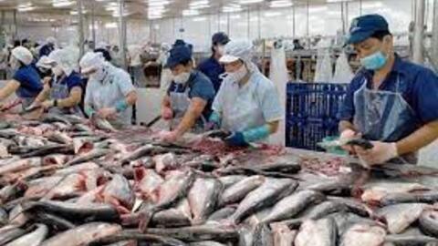 “Soán ngôi” Mỹ, Trung Quốc trở thành thị trường xuất khẩu nông sản lớn nhất của Việt Nam