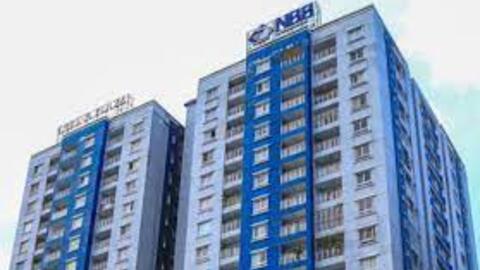 Năm Bảy Bảy bán hơn 50 triệu cổ phiếu, tính thu 750 tỷ để làm 2 dự án BĐS