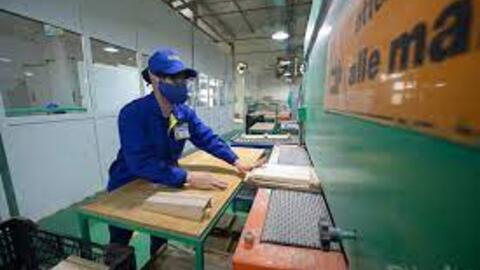 Cải thiện môi trường kinh doanh vẫn còn không ít tồn tại, bất cập